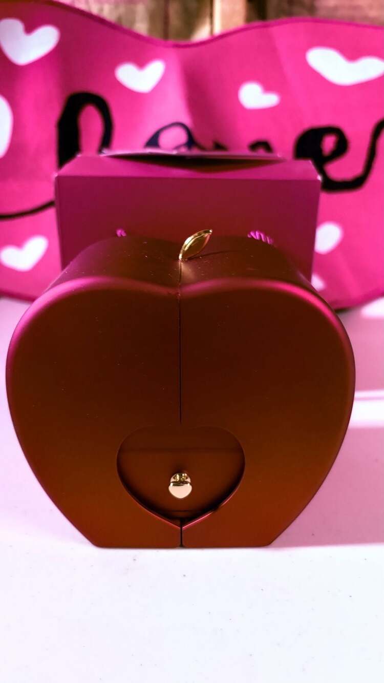 Eterna LOVE Apple Preserved Rose Gift Box & Necklace For Women For Any Holiday